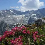 In Der Naehe Von Hallstatt Daire