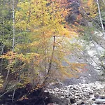 In Der Naehe Von Hallstatt Russbach am Pass Gschütt