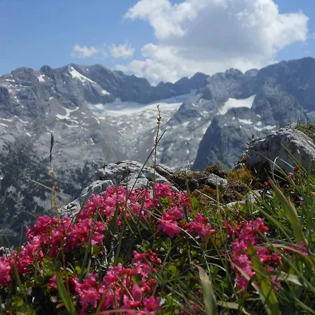 Dachsteinwest, Ski-in Ski-out Luxury Apartment, Free Parkplatz Lejlighed