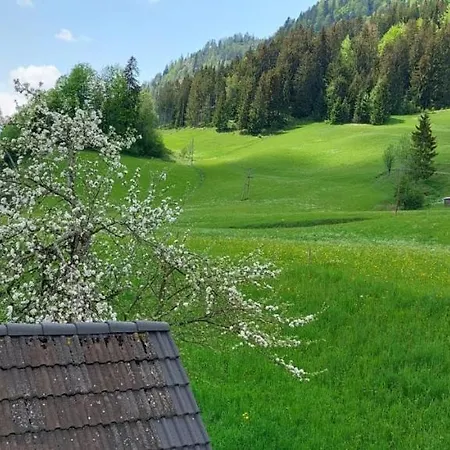 Dachsteinwest, Ski-in Ski-out Luxury Apartment, Free Parkplatz *