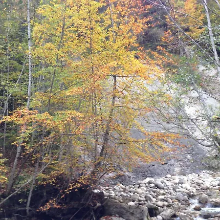 In Der Naehe Von Hallstatt Russbach am Pass Gschuett