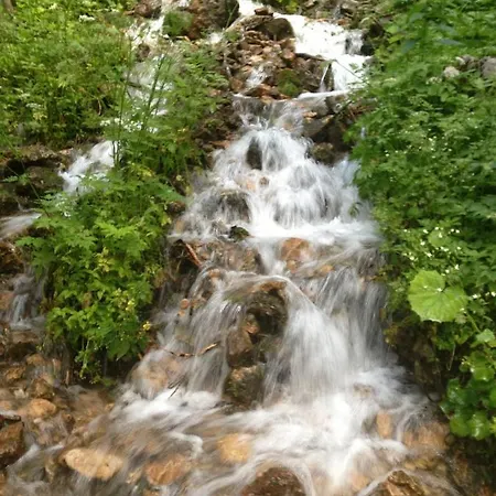 Dachsteinwest, Ski-in Ski-out Luxury Apartment, Free Parkplatz Lejlighed *