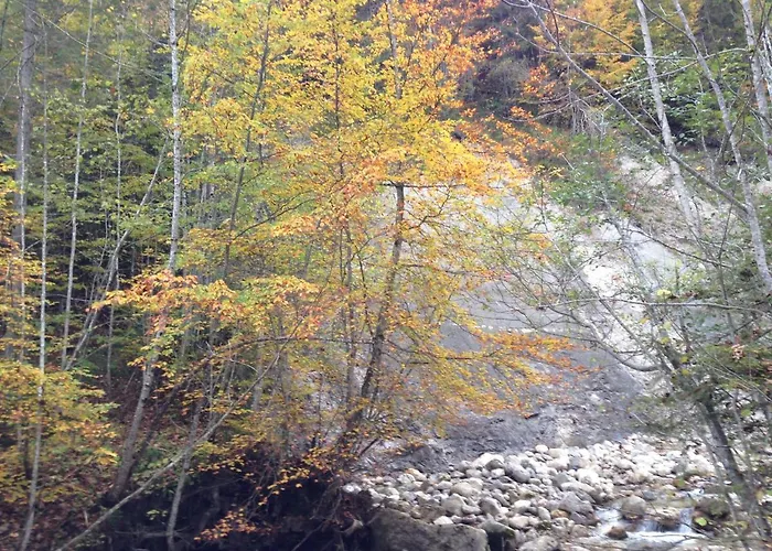 Ferienwohnung In Der Naehe Von Hallstatt Russbach am Pass Gschütt